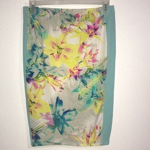 👍🏻Nicky Minaj middle length pencil skirt